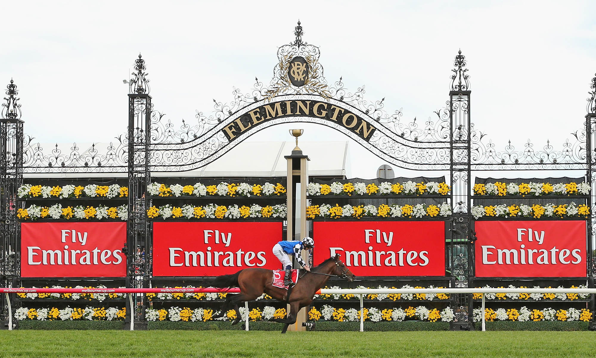 Chauffeur Cars Springcarnival